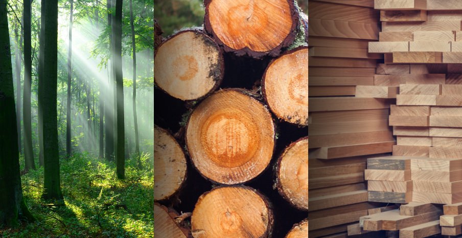 Production de bois de construction en Beauce